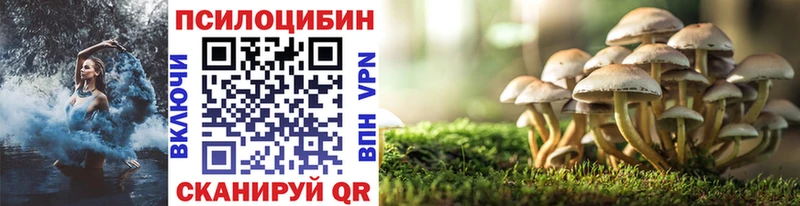 OMG сайт  Белозерск  Псилоцибиновые грибы GOLDEN TEACHER  купить наркотик 